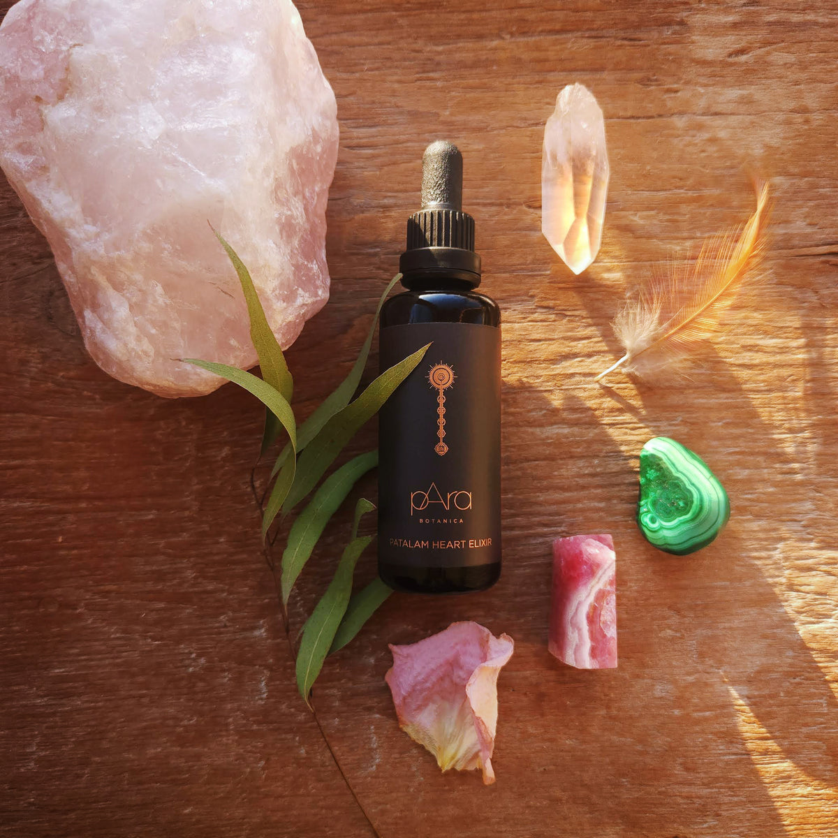 Patalam Heart Elixir - pAra