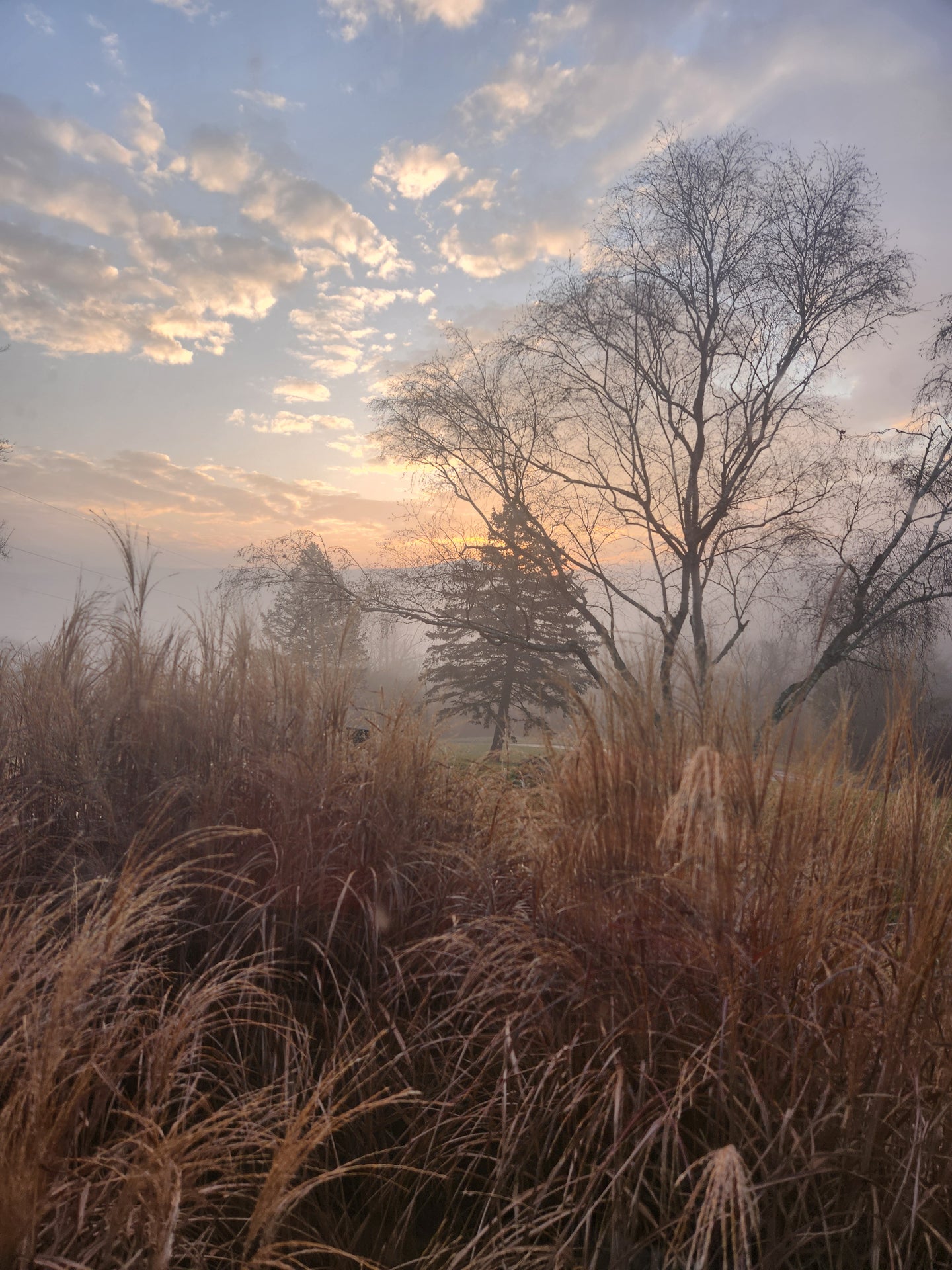 Autumn Nourishment Offering, in Much Gratitude